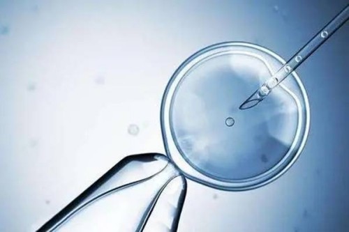 想怀孕应该怎么做才能怀上？提醒：这样做能快速怀孕，赶紧学起来吧