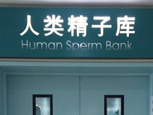 正常胎儿和唐氏儿四维到底有何不同？缺陷宝宝是这样分辨的