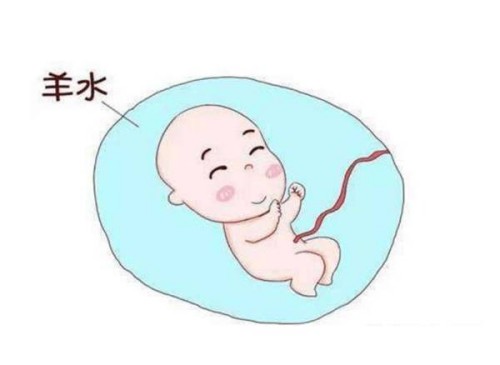 把握人工授精的方法,有效提升人工授精的成功率