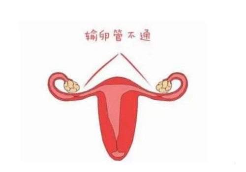绍兴助孕代怀：﻿医院精子库免费申请精子要多少钱,免费申请精子要什么条件