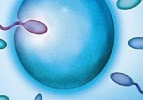 备孕成功经验分享：了解巧囊自然怀孕的3种有效方法！